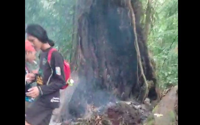 Lokasi jalur gunung Dempo yang nyaris terbakar karena pohon terbakar akibat ulah pendaki nakal. (Tangkapan Layar)