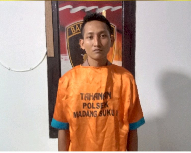 Seorang buronan kasus Pencurian Dengan Pemberatan (Curat), Sumarlin (29). (dok. Polisi)