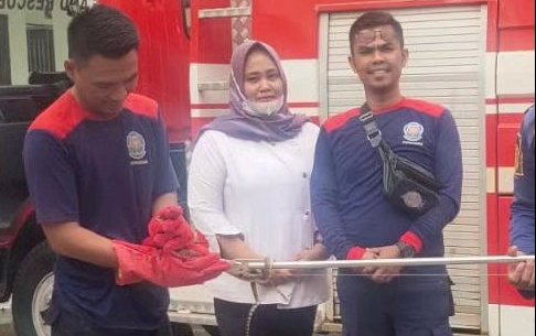 Petugas Pemadam Kebakaran Kabupaten Banyuasin berhasil mengevakuasi ular yang masuk di Gedung DPRD/ist