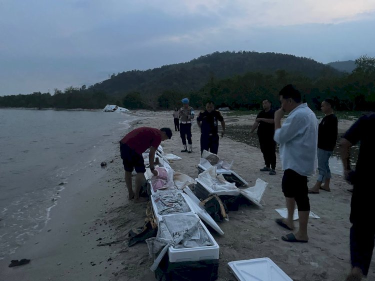 Pelepasan benih lobster hasil tangkapan Polda Sumsel di perairan Lampung. (ist/rmolsumsel.id). 