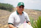 Erick Thohir Angkat Eks Wamendag Jadi Pemimpin Baru Perum BULOG