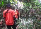 Sudah Sepekan, Remaja 15 Tahun yang Hilang Saat Ikut Orang Tua Nyadap Karet di Lubuklinggau Belum Ditemukan