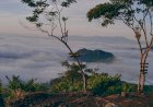 Tempat Wisata di Musi Rawas Ini bak Negeri Diatas Awan, Jadi Incaran Para Pendaki