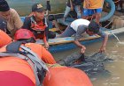 Hari Kedua Pencarian, Nahkoda Kapal Tugboat Jasa Karya yang Tenggelam di Sungai Musi Akhirnya Ditemukan