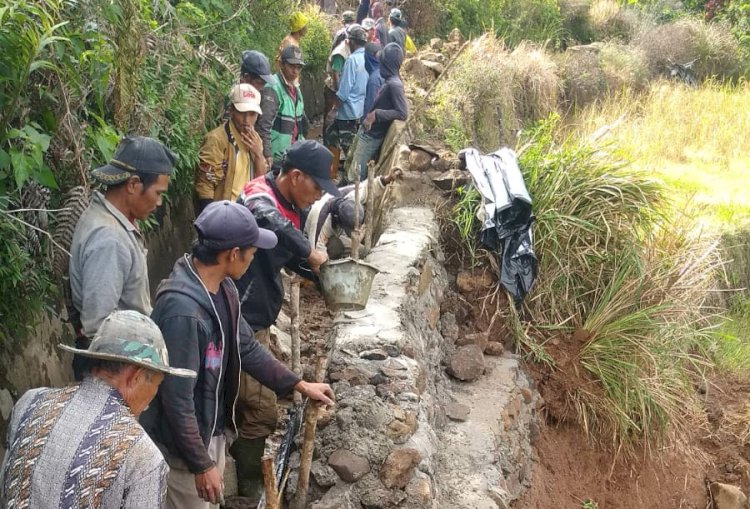 Puluhan Petani di Ataran Segamit Kecamtan Semendo Darat Ulu memperbaiki siring secara swadaya/ist