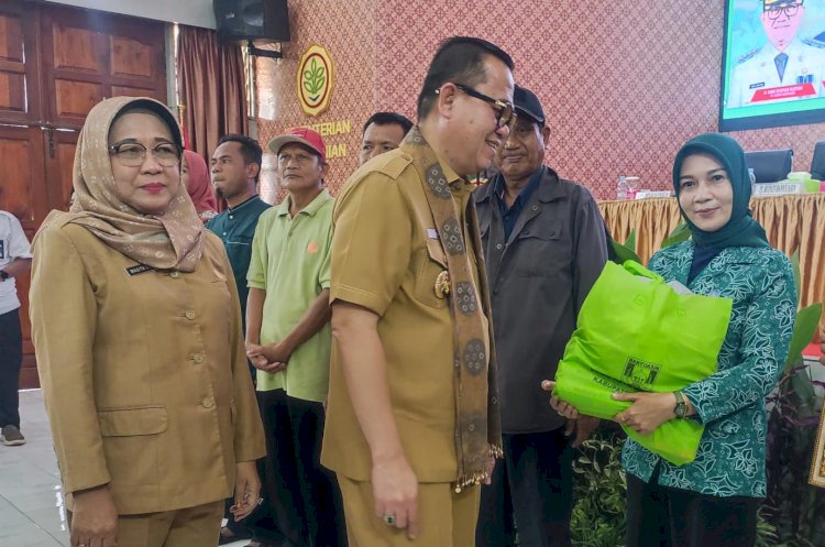 Pj Bupati Banyuasin, Hani Syopiar Rustam saat penyerahan bantuan benih sayur dan sarana produksi kepada penerima manfaat bantuan gerakan tanam sayur (Gertas) di Aula SMK Pertanian Pembangunan Negeri. (ist/rmolsumsel.id) 