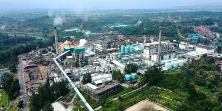 Pabrik PT Tba Pulp Lestari yang terletak di Kecamatan Porsea, Kabupaten Toba, Sumatera Utara./Foto: Betahita