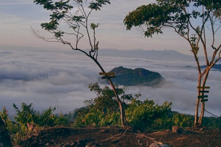 Pemandangan di Puncak Gatan  di Desa Sukorejo, Kecamatan STL Ulu Terawas, Kabupaten Musi Rawas/ist