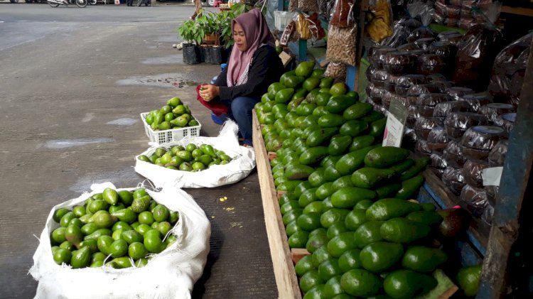 Jalan-jalan ke Kota Lubuklinggau jangan lupa mampir membeli oleh-oleh buah alpukat. (Malik/RMOLSumsel.id)