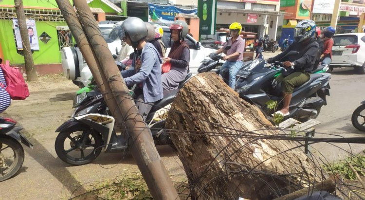  Kondisi tiang kabel Wi-Fi milik Telkom roboh di Jalan Sultan M Mansyur Kecamatan Ilir Barat II Palembang /Foto: Fauzi