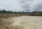 Bara Anugerah Sejahtera Kembali Berulah, Disposal Timbun Sungai, Bikin Kebun Warga Terendam
