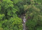 Surga Tersembunyi di Balik Hutan Wisata yang Rimbun, Inilah Pesona Air Terjun Bukit Cogong di Musi Rawas