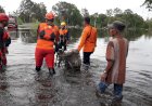 Basarnas Palembang Terjunkan Tim Rescue Evakuasi Korban Banjir di Muba, Prioritaskan Anak-anak dan Lansia 