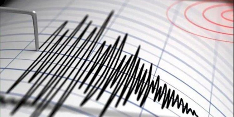 Ilustrasi gempa. (Handout)