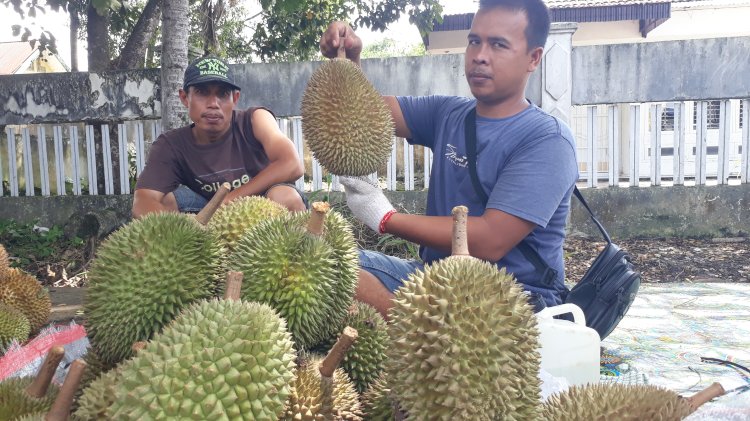 Buah durian asal Bengkulu kini banjiri Kota Lubuklinggau. (ist/rmolsumsel.id)