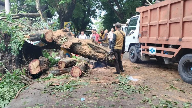 Petugas dinas kebersihan dan pemakaman kota Palembang memotong pohon tumbang di Simpang BLK Palembang . (Fauzi/RMOLSumsel.id)