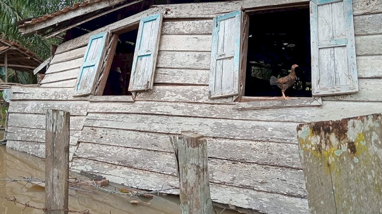 Rumah Yuli, warga Desa Pagar Dewa yang roboh diterjang banjir bandang Muara Enim. (ist/rmolsumsel.id)