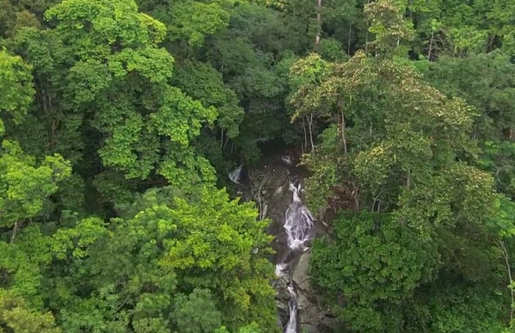 Keindahan wisata alam Bukit Cogong dengan keberadaan air terjun dibalik hitan nan rimbun. (Handout)