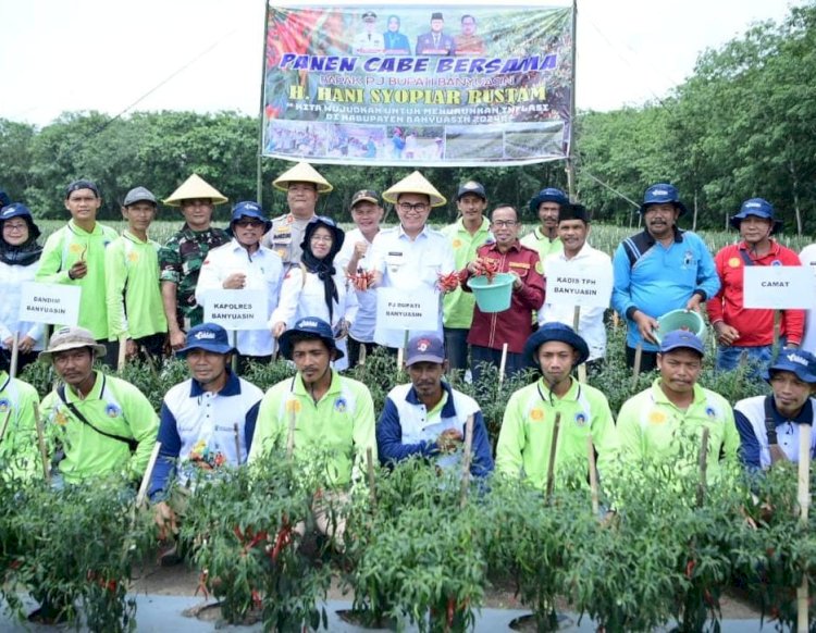 Pj Bupati Banyuasin, Hani Syopiar Rustam, memimpin kegiatan panen cabai di Desa Tirto Sari, Kecamatan Banyuasin I. (ist/rmolsumsel.id)