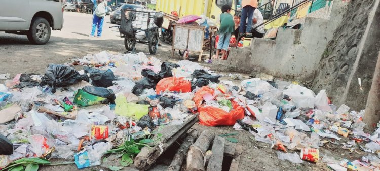 Kondisi Tumpukan Sampah di sekitar jalan protokol Kombes H.Umar kota Pagar Alam. (Taufik/RMOLSumsel.id)