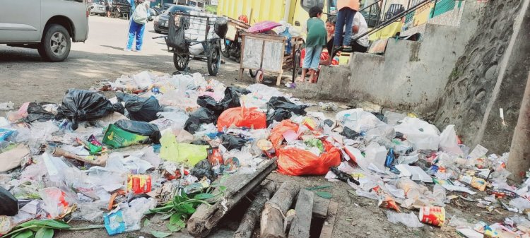 Kondisi Tumpukan Sampah di sekitar jalan protokol Kombes H.Umar kota Pagar Alam. (Taufik/RMOLSumsel.id)