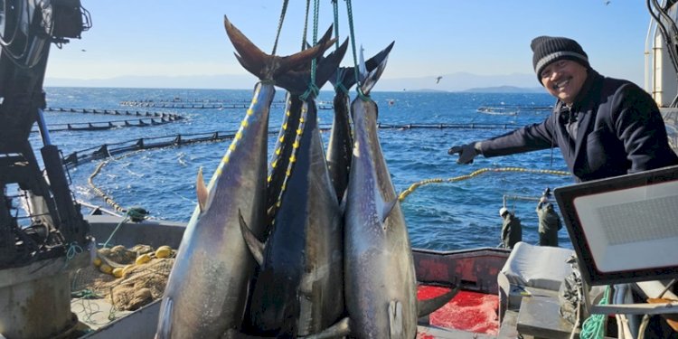 Menteri Kelautan dan Perikanan Sakti Wahyu Trenggono mengunjungi lokasi budidaya pembesaran ikan tuna di laut Izmir, Turki, Selasa (23/1)/Ist
