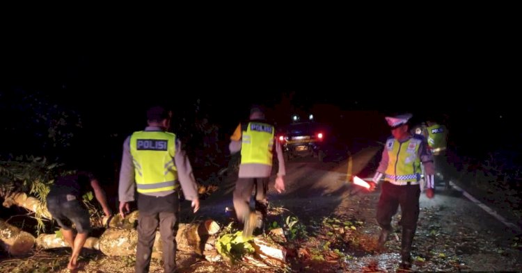 Pohon tumbang di Jalinsum Musi Rawas akibat disapu angin kencang disertai hujan lebat/ist