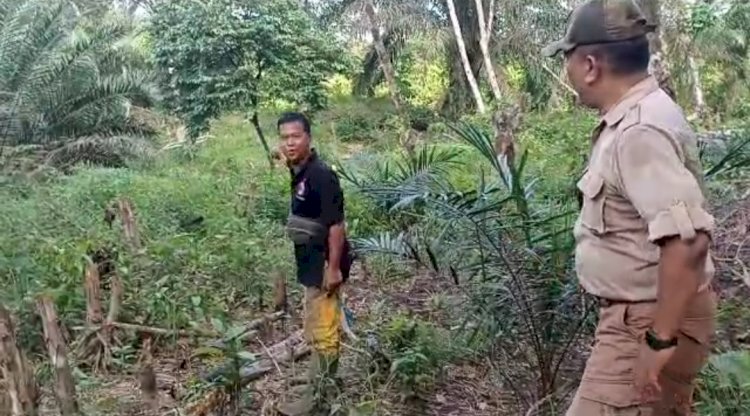 Petugas TNKS mendatangi kebun duren di Kabupaten Musi Rawas, Sumatera Selatan. (dok. TNKS Wilayah V)