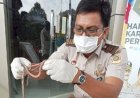 Bahan Pakan Ternak dan Umpan Mancing, Cacing Nipah Sumut Tembus Pasar Malaysia