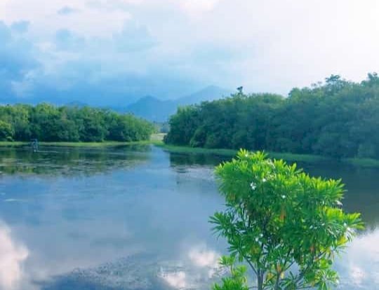Danau Aur di Kecamatan Sumber Harta Kabupaten Musi Rawas/ist