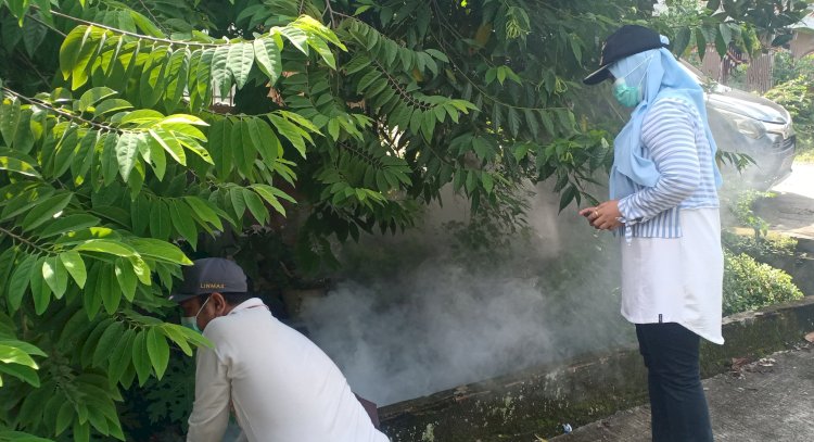  Kelurahan Srijaya, Kecamatan Alang-alang Lebar, Palembang melaksanakan fogging/Foto: Denny Pratama