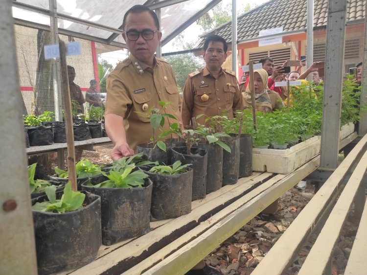 Penjabat Bupati Banyuasin, Hani Syopiar Rustam. (ist/rmolsumsel.id)