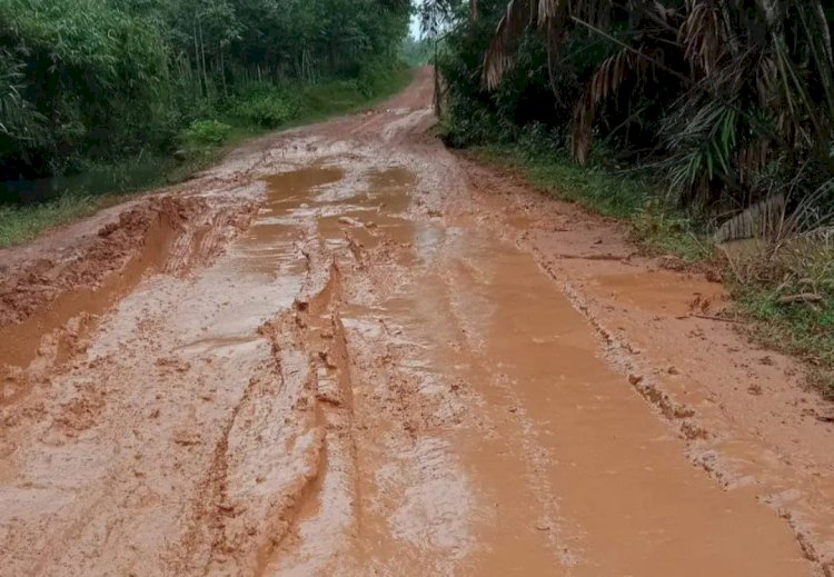Jalan penghubung antara Desa Sidang Emas dan Desa Rimba Alai di Kecamatan Banyuasin rusak parah. (ist/rmolsumsel.id)