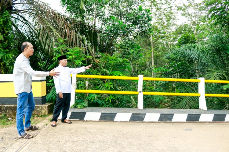 Pj Bupati Muba Apriyadi meninjau langsung Jembatan Sumber Urip yang hampir ambruk/ist