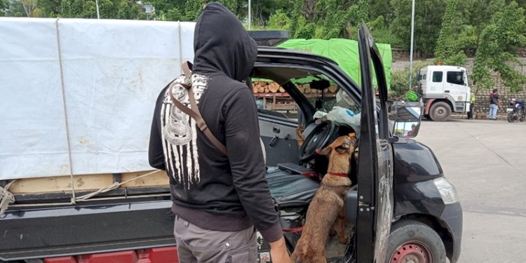 Anjing K9 Narkotik Korps Sabhara Baharkam Polri memeriksa kendaraan yang mau melakukan penyeberangan di Pelabuhan Bakauheni Lampung/Ist