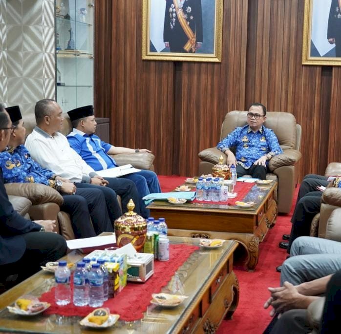 Pj Bupati Banyuasin Hani Syopiar Rustam (ist/rmolsumsel.id)