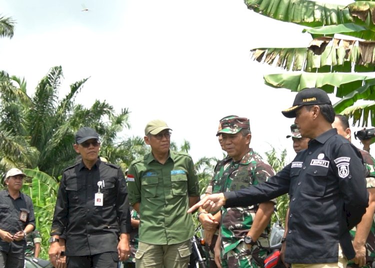 Kementrian Pertanian bersama Tentara Nasional Indonesia (TNI) melakukan percepatan optimalisasi lahan rawa lebak guna mengejar peningkatan produksi pangan utamanya beras/ist