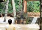 Kesaksian Warga Desa Tanjung Agung Saat Melihat Jembatan Putus Diterjang Banjir