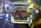 Hendak Jual Gading Gajah, Dua Warga Aceh Ditangkap Polisi