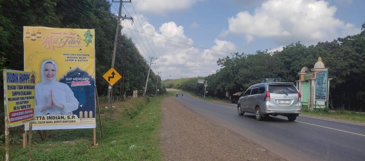 Baliho Bakal Calon Bupati Banyuasn Netta Indian yang terpasang di jalan lintas Palembang-Betung. (Arda/ RMOLSumsel.id)