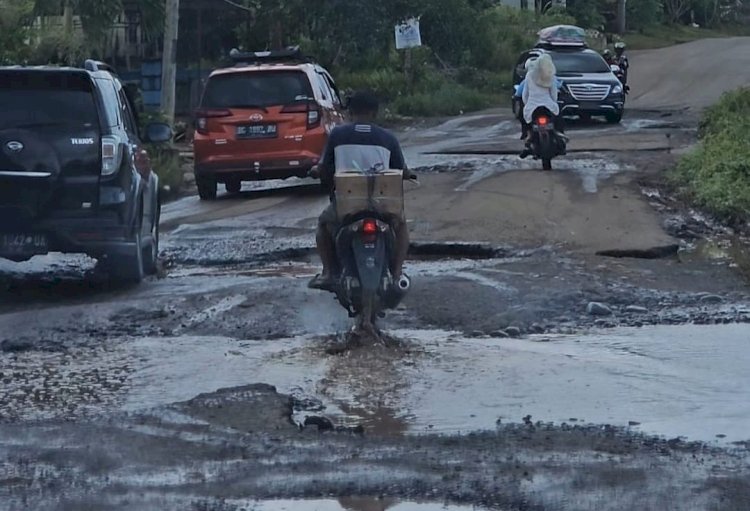 Jalan berlubang di Jalan Lintas Kabupaten Musi Rawas-Pali/ist