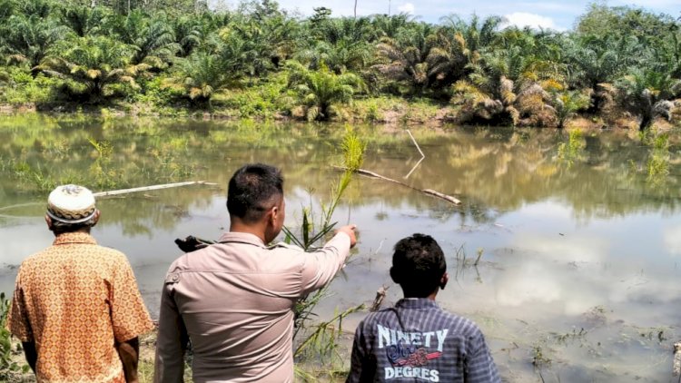 Lokasi rawa tempat korban tewas tenggelam. (ist/rmolsumsel.id)