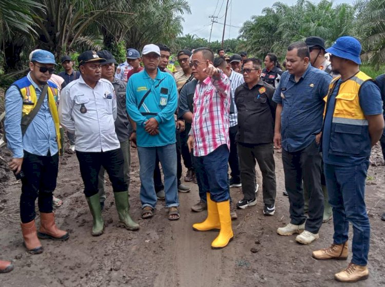 Pj Bupati Banyuasin Hani Syopiar Rustam saat meninjau pembangunan jalan.(ist/rmolsumsel.id)