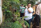 Dusun Kawista Miliki Daya Saing Sebagai Kampung Proklim Mandiri
