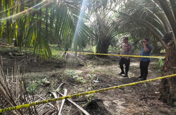 Polisi melakukan olah TKP di kebun sawit tempat ditemukannya kerangka manusia/ist