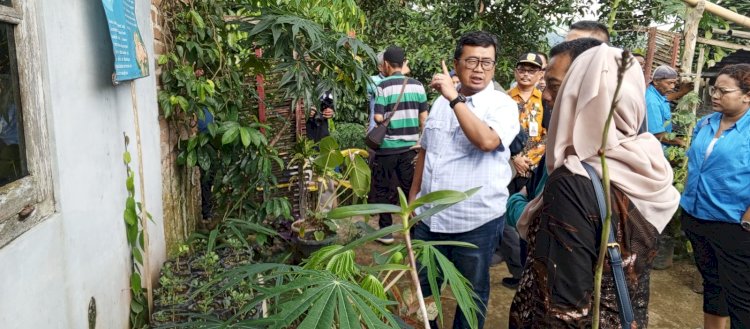 Direktur PT. Pama Persada Nusantara tinjau kampung Proklim Kawista (noviansyah/rmolsumsel.id)
