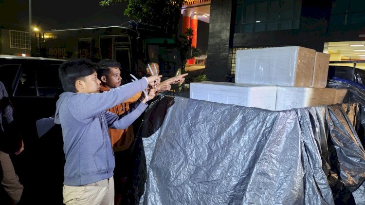 16 boks styrofoam yang berisi benih bening lobster yang berhasil diamankan Subdit IV Tipidter Ditreskrimsus Polda Sumsel.(Fauzi/RMOLSumsel.id)