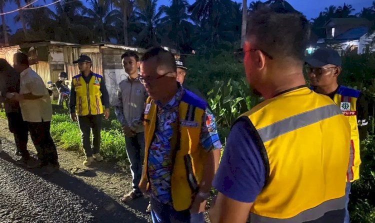 PJ Bupati Banyuasin Hani Syopiar Rustam emninjau perbaikan jalan/ist