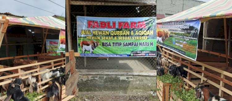 Hewan qurban yang dijual di wilayah Tebing Tinggi/ist