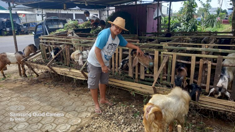 Salah satu lapak penjual kambing korban di kota Pagar Alam.(Taufik/RMOLSumsel.id)